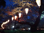 2015年3月31日2.jpg