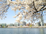 2015年3月31日3.jpg
